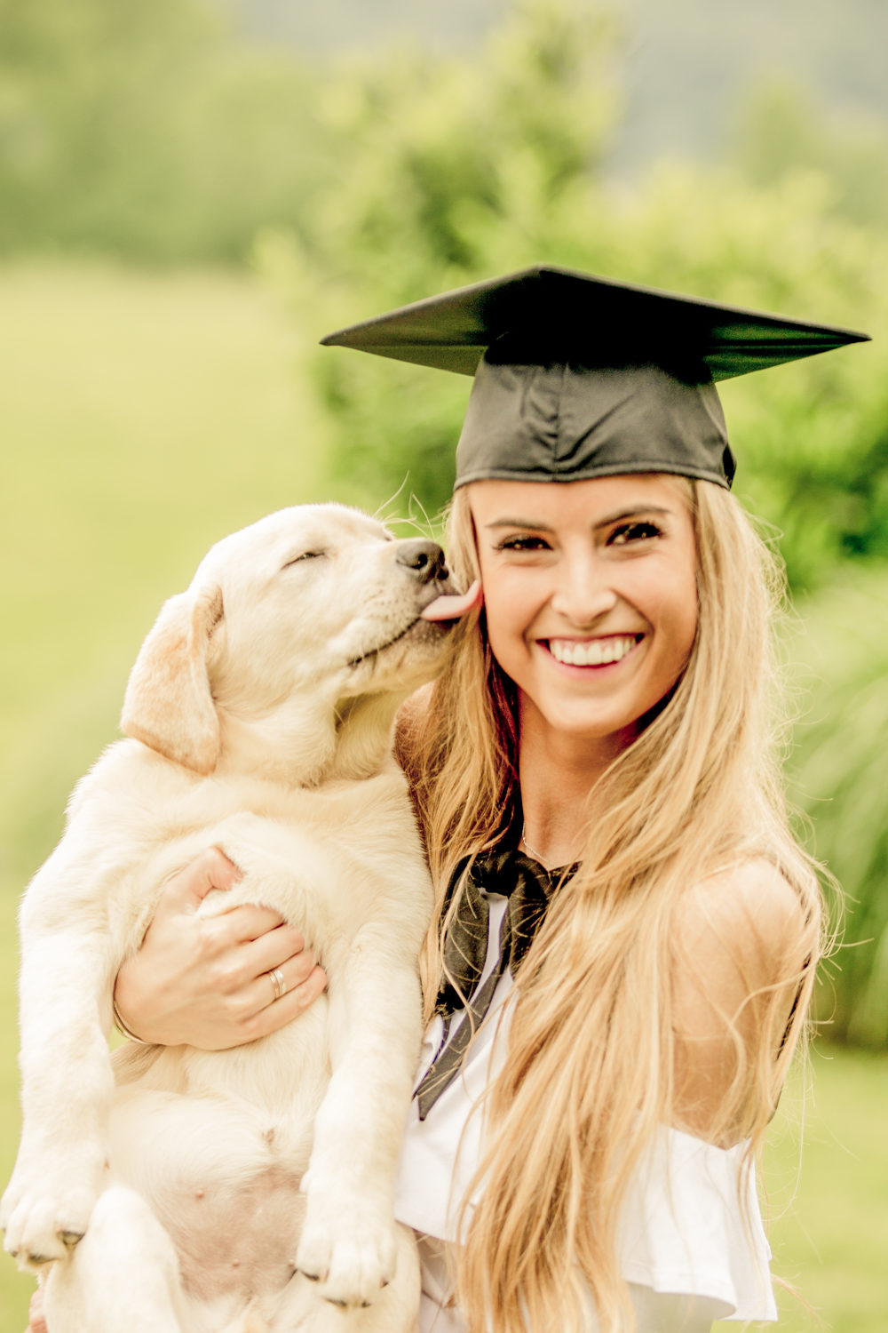 puppy and collage grad